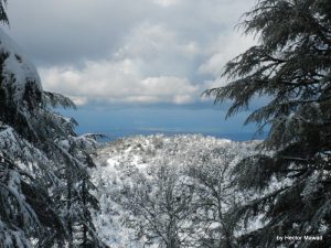 Treat Your Valentine to a Hot Snowshoeing Tour in Lebanon