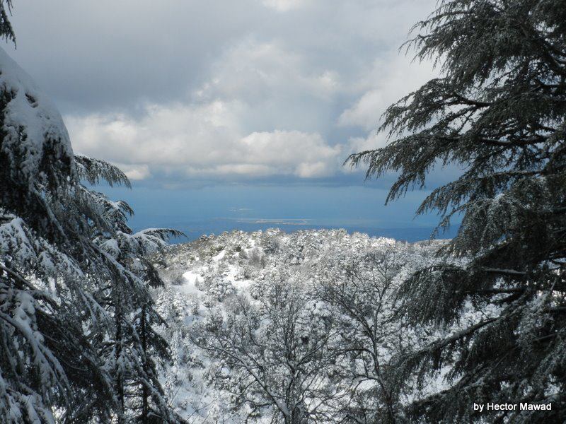 Adventures in Lebanon, snowshoeing, green tours, eco-tours, nature, travel, Lebanon, Valentine's Day,