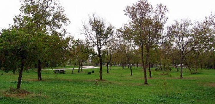 city-park-israel.jpg