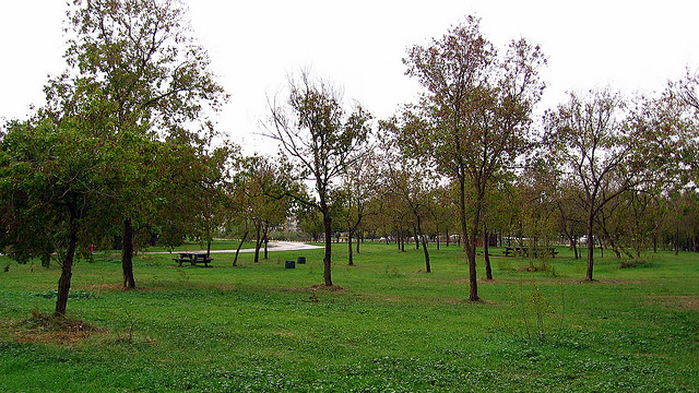 Dense Israeli City to Get a Breath of Fresh Air with New Park