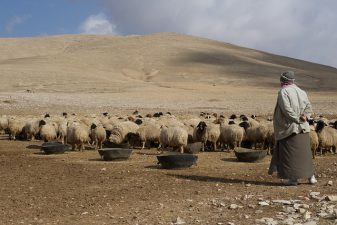 Syrian Farmers Increasingly Vulnerable