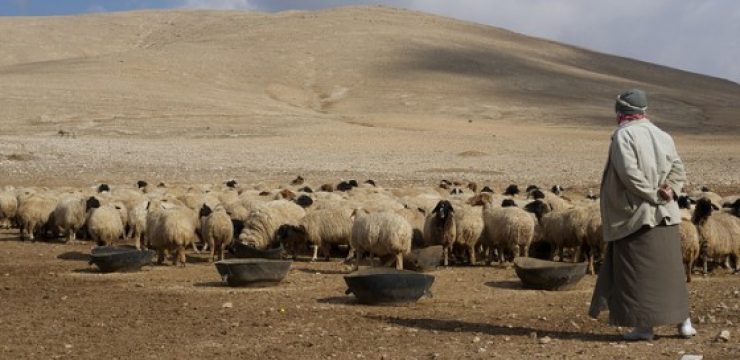 syria-drought.jpg
