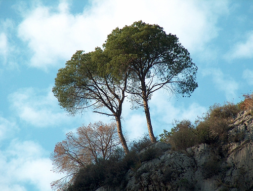 green design, sustainable design, graffiti, urban art, environmental art, tourism, eco-tourism, Middle East, Tunisia, map, clean tech, solar energy