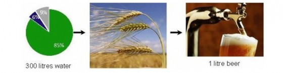 water footprints beer