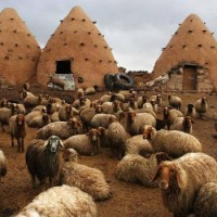 green building, eco-architecture, earth architecture, David Sheen, Syria, Beehives, Yemen, Manhattan of the Desert, Nader Khalili, Saudi, recycled materials, sustainable building