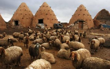 6 Green Buildings That Won’t Break the Bank