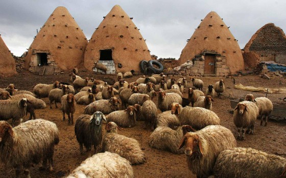 green building, eco-architecture, earth architecture, David Sheen, Syria, Beehives, Yemen, Manhattan of the Desert, Nader Khalili, Saudi, recycled materials, sustainable building