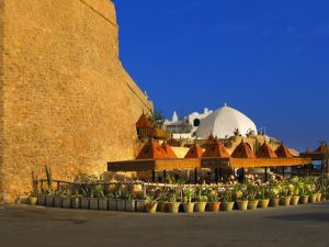 Catch up With Green Prophet in Tunisia