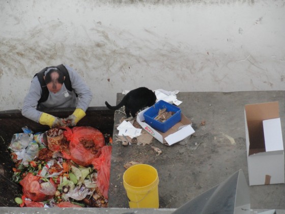 dumpster diving israel, eilat for food