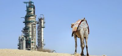 Saudi Arabia Dumps Oil in Time for US Election Season