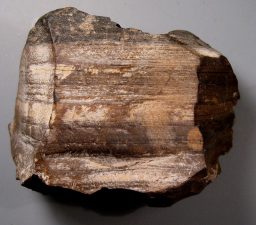 Jordan Announces Oil Shale Plans Without Opposition