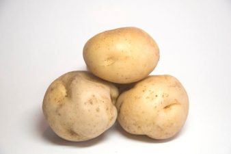 Saudi Potato Battery Could Be Commercially Available in One Year!