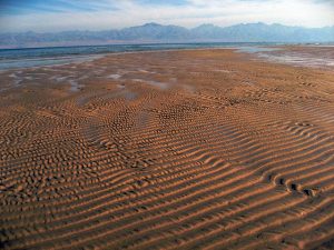 Land and Sea Bridge To Connect Saudi Arabia and Egypt