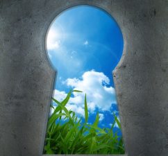 Syria’s Seeds Are Locked Away in Norway, But Are Seed Vaults Safe?