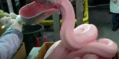 Pink Slime Phasing Out of US Food Chains, Will Middle East Follow?