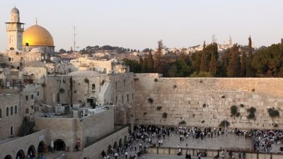 Jerusalem’s Western Wall for the Birds