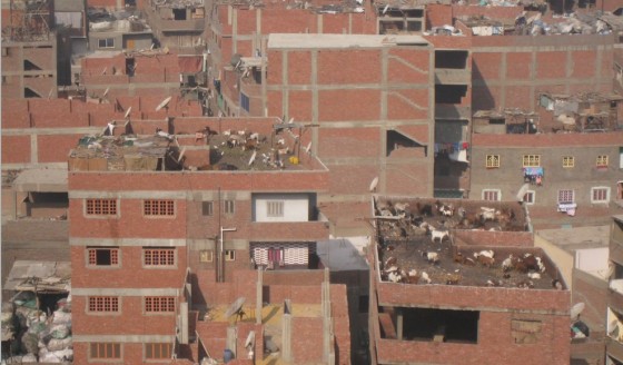 zabeleen cairo roofs