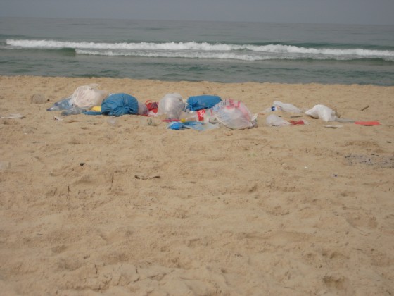 litter israel beach
