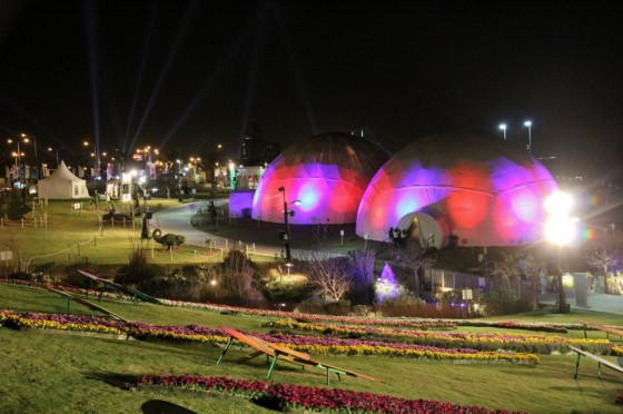 green design, sustainable design, OGE, art, Haifa, Flower Festival