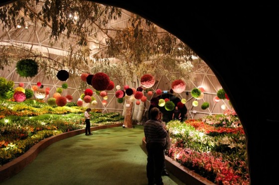 green design, sustainable design, OGE, art, Haifa, Flower Festival