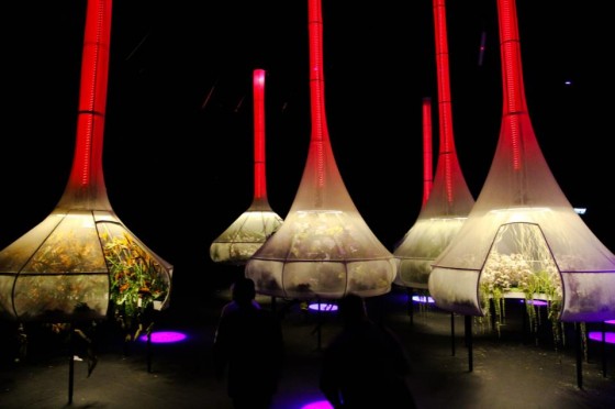 green design, sustainable design, OGE, art, Haifa, Flower Festival