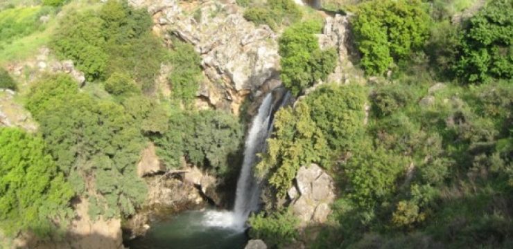 Tyoul-Golan-7.4.12-066-Saar-Stream-Waterfall.jpg