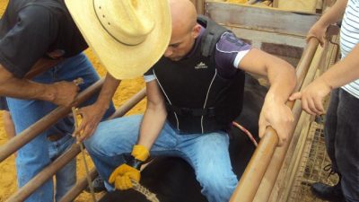 Lebanon’s cowboys are made at El Rancho outside of Beirut