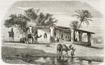 Middle East Water Woes Beg for Environmental Sewage Solutions