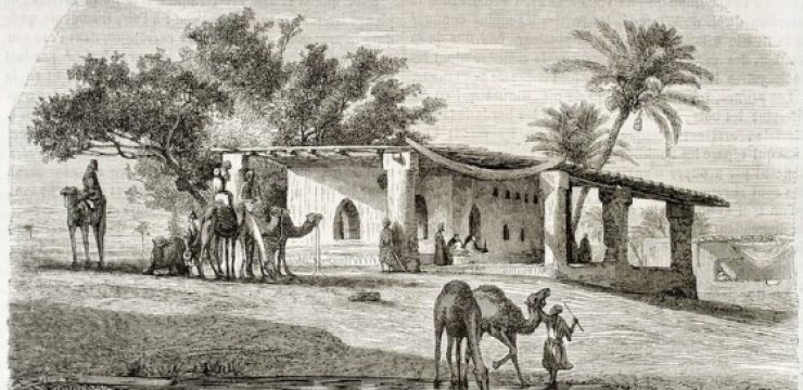 moslem-camel-oasis.jpg