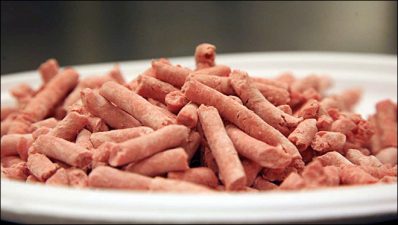 Pink Slime Beef Bankruptcy First Step to Improved Global Diet