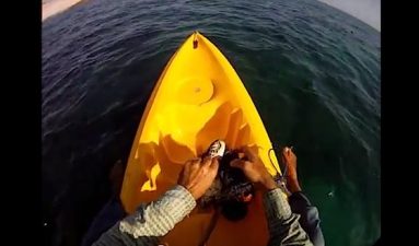 Eco-Crusader Frees Trapped Turtle in Oman (Video)