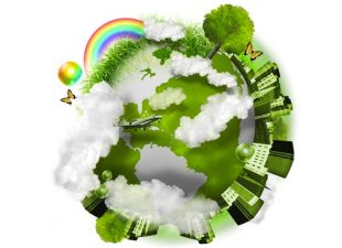 Arab School Scoops a Coveted Israeli Green Globe Award