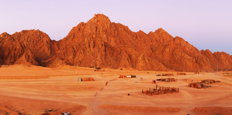 Sinai’s Ecological Future Hangs in the Balance