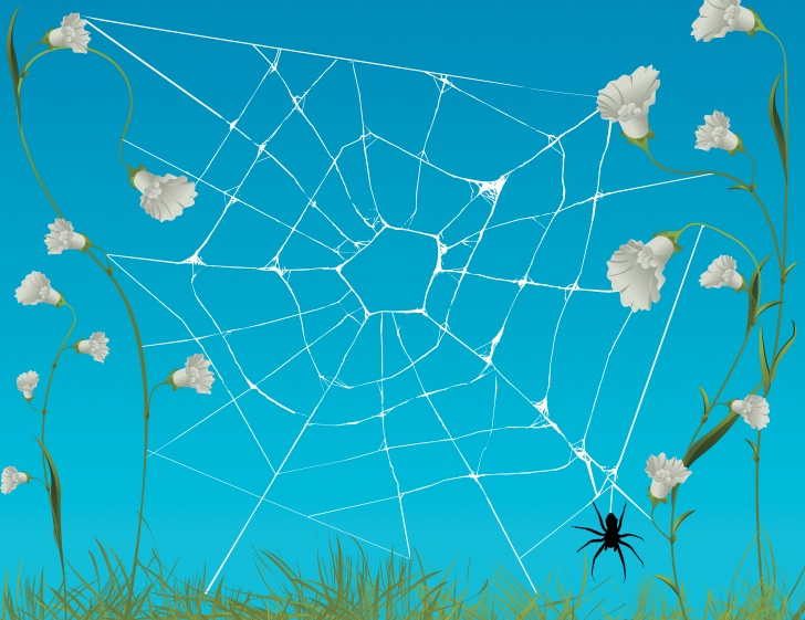 Spidernet SpiderNet's Artificial Spider Web Protects Crops from Tiny Pests ...