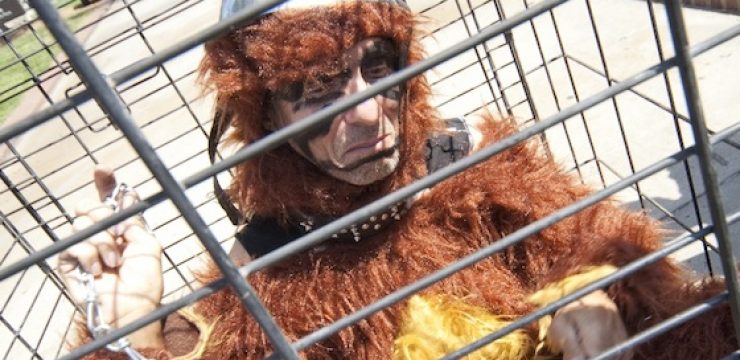 wild-man-monkey-zoo-cage-research-israel.jpg