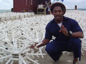 EcoReef Antlers For Coral Reef Restoration
