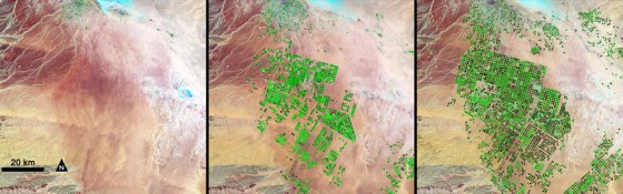 agricultural growth saudi arabia