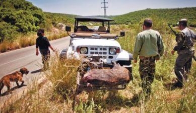 Is Sport Hunting on its Way Out in Israel?