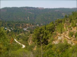 Is Urbanizing the Solution to Israel’s Housing Crisis?