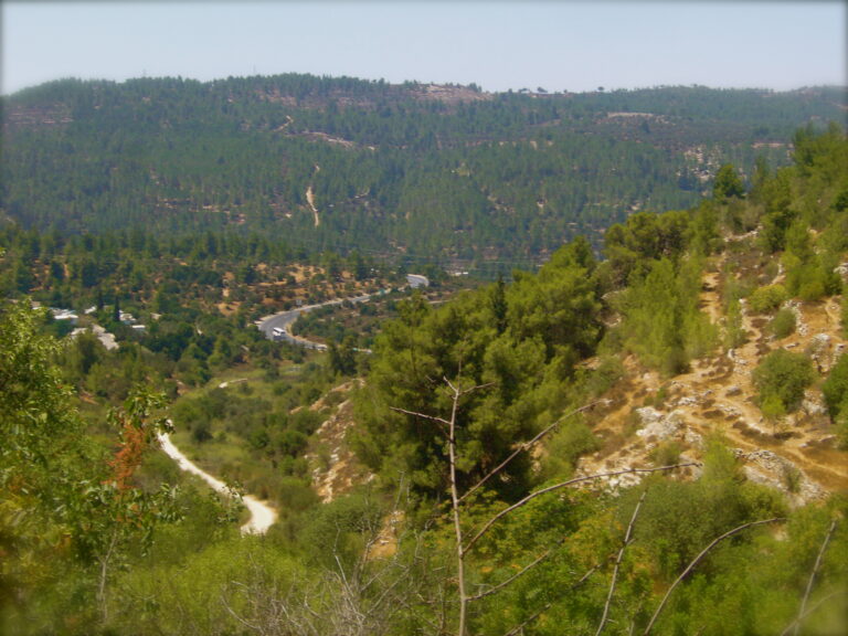 Is Urbanizing the Solution to Israel’s Housing Crisis?