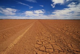 Mebiol’s Futuristic Hydrogel to Grow Food on Desert Sand