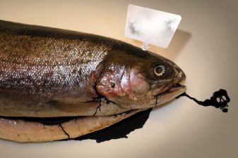 7th Red Sea Oil Spill Since September Goes Virtually Unnoticed