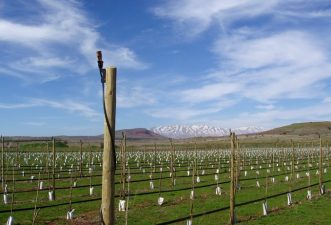 NaanDanJain’s Irrigation Technology Strengthens Ties Between India and Israel