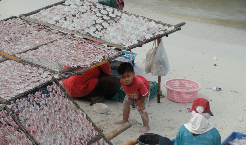 green papaya fishing village