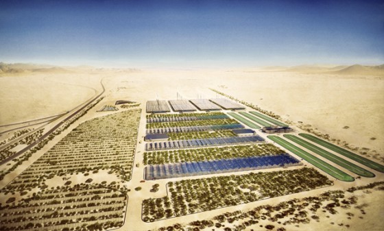 sahara forest project