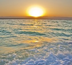 Arava Drags Israel into Solar Century with 58.5 MW Project Licensed, Contracted, and Financed