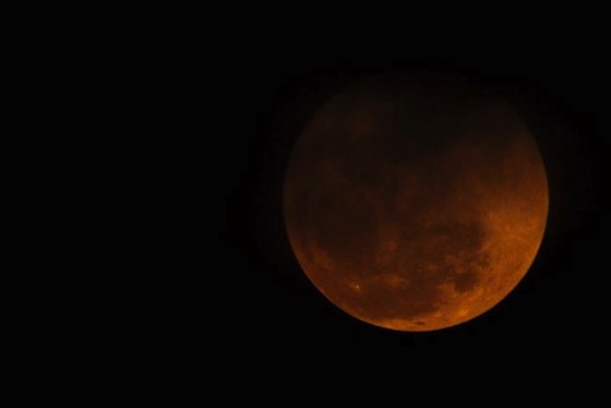 nature, astronomy, supermoon, full moon, photography