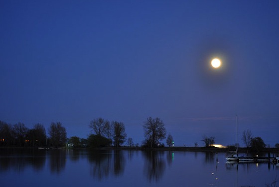 nature, astronomy, supermoon, full moon, photography