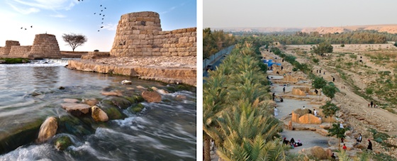 wetlands, Saudi, Wadi Hanifah, bio-remediation, river rehabilitation, water