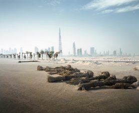 Abandoned: Wild Animals Roam Apocalyptic Dubai (PHOTOS)